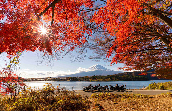 Mùa thu Nhật Bản