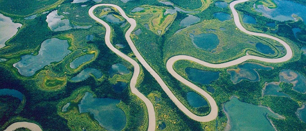 Dòng sông lớn nhất thế giới ( Amazon)