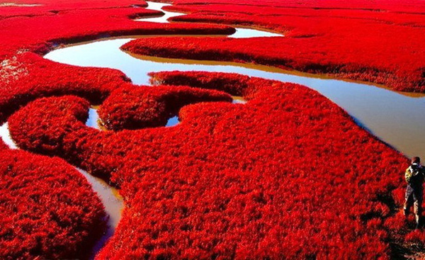 Biển đỏ Trung Quốc