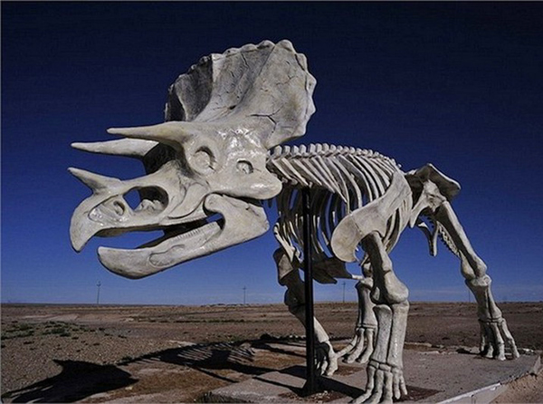 Công viên khủng long lớn nhất thế giới tại Tp Erenhot, Nội Mông, Trung Quốc