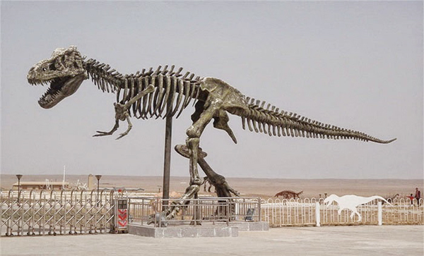 Hóa thạch  khủng long bạo chúa Tyrannosaurus tại công viên khủng long lớn nhất thế giới 