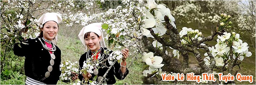 Tour du lịch vườn hoa Lê Hồng Thái, Na Hang, Tuyên Quang 2 ngày